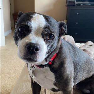 Meet your Posher, Kenny